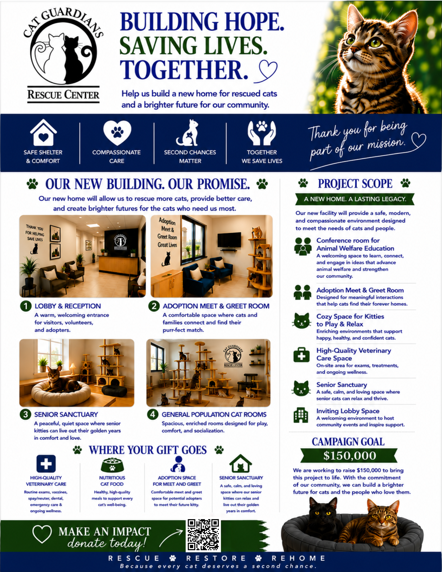 CG project scope flyer
